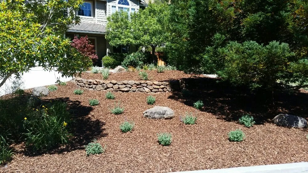 Reliable residential landscaping in Santa Cruz, CA - Lyonscape