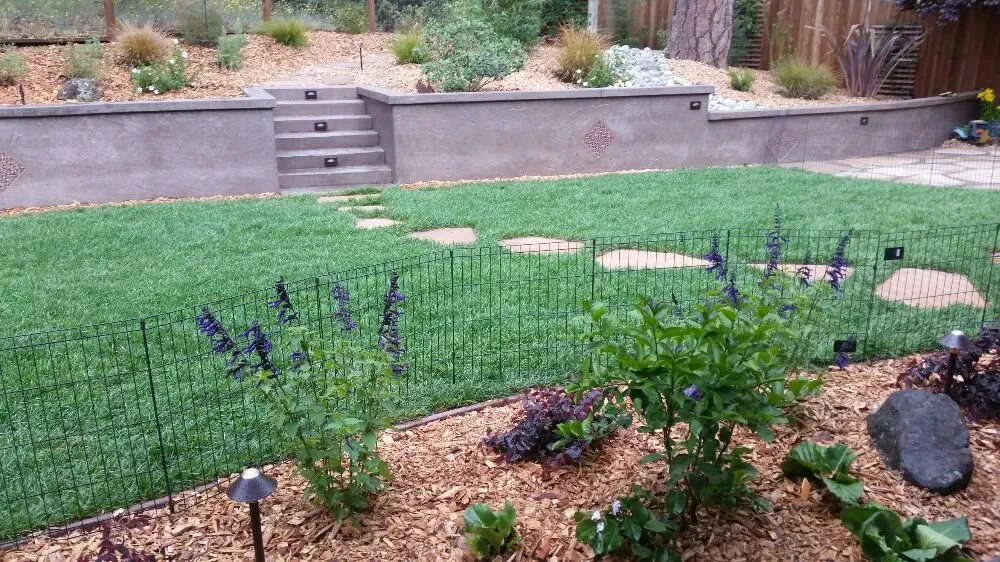 Custom outdoor landscaping in Santa Cruz, CA by Lyonscape