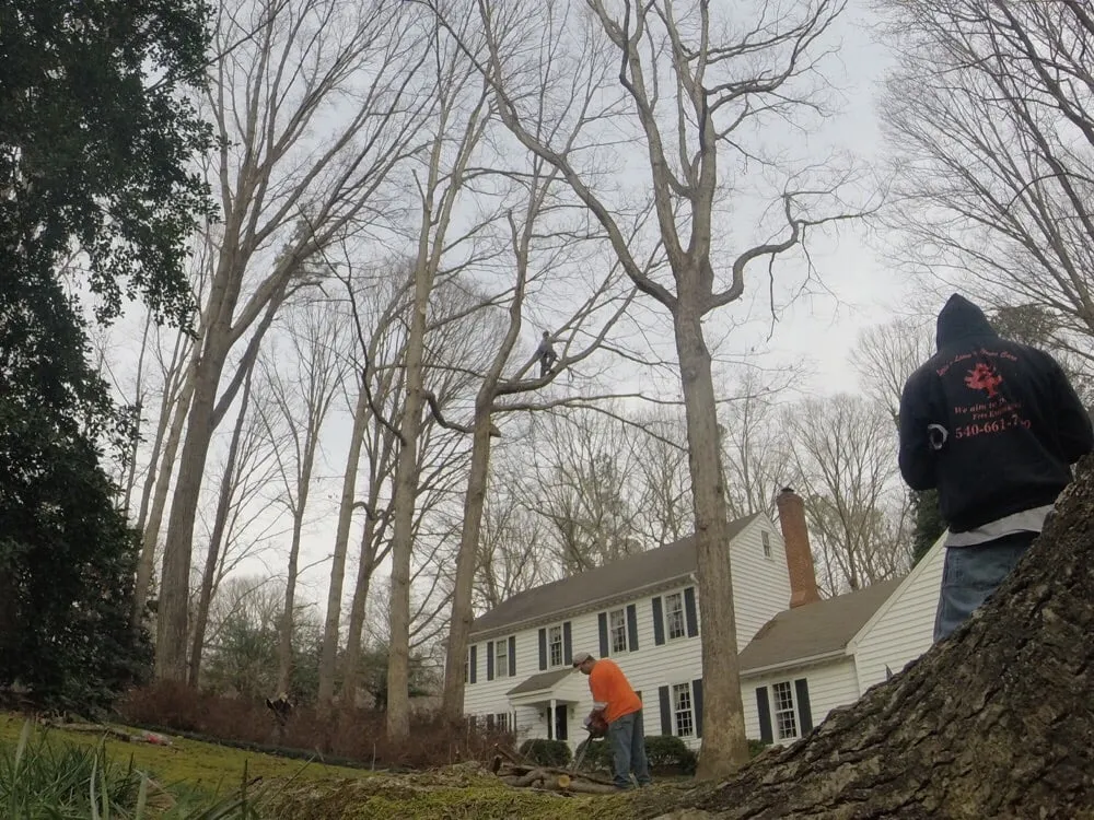 Top-rated landscape design near you across Richmond, VA - Lyric's Lawn & Home Care