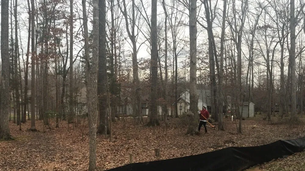 Top-rated yard cleanup service in Richmond, VA by Lyric's Lawn & Home Care