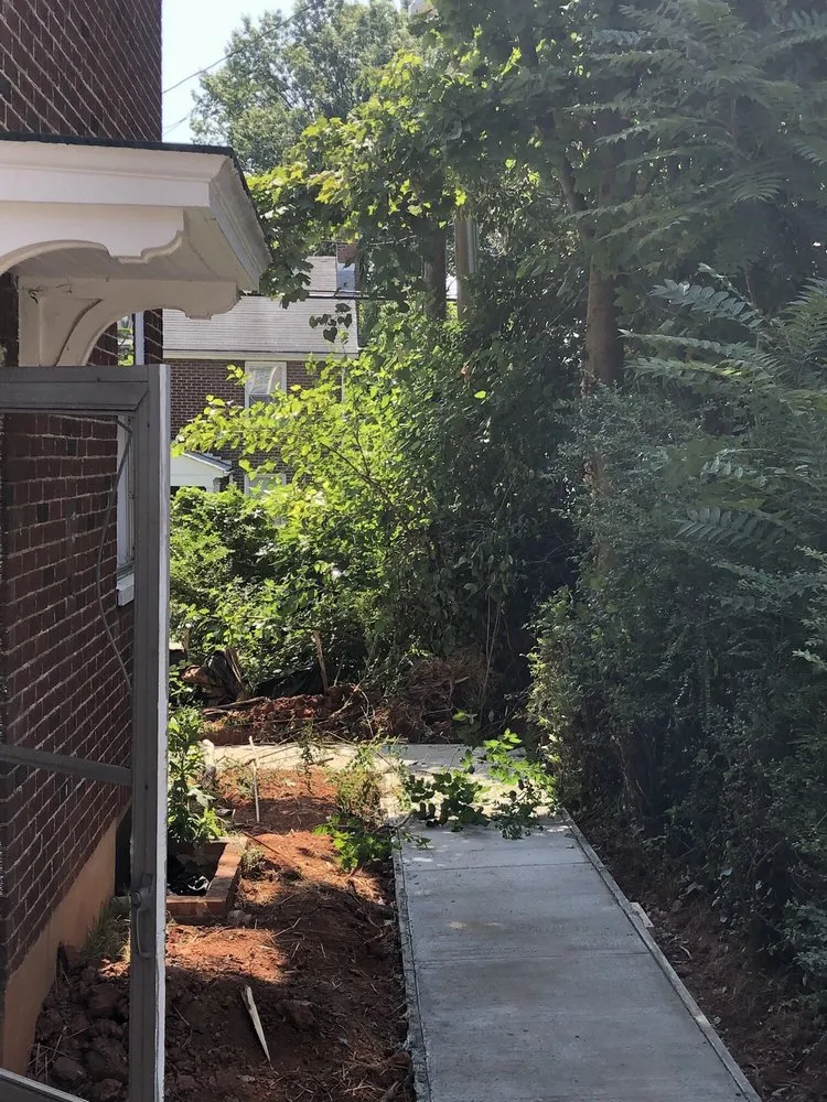 Affordable yard cleanup service in Richmond, VA by Lyric's Lawn & Home Care