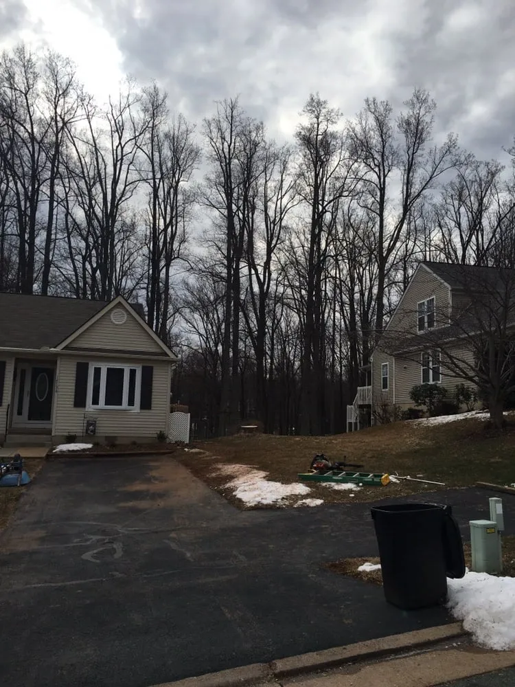 Top-rated outdoor landscaping for year-round maintenance across Richmond, VA - Lyric's Lawn & Home Care