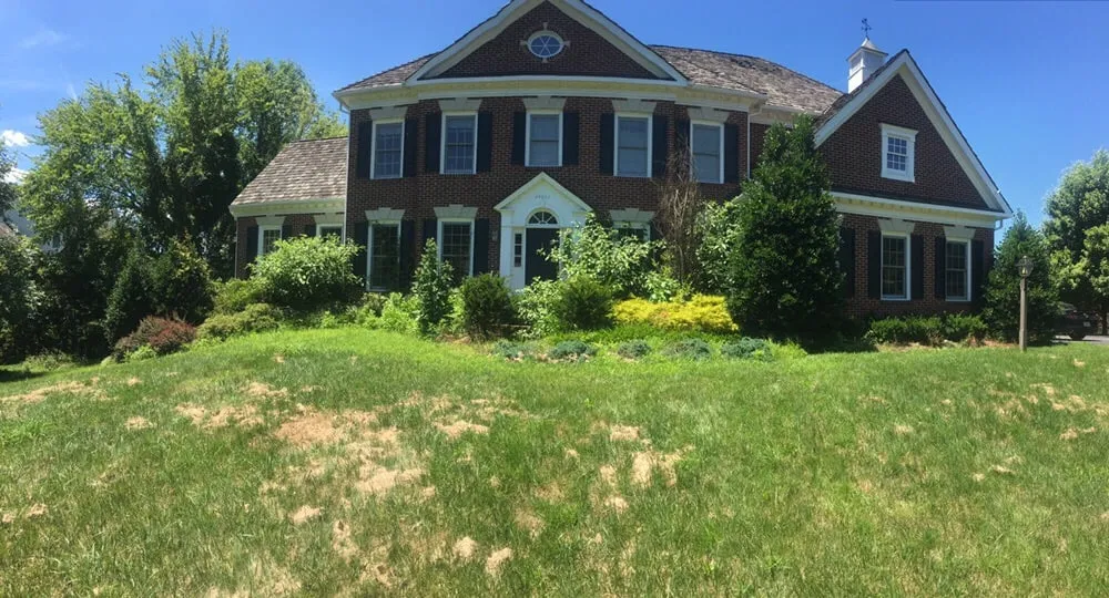 Local residential landscaping for outdoor upgrades across Richmond, VA - Lyric's Lawn & Home Care