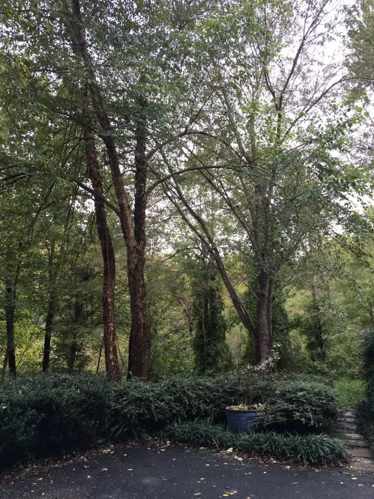 Reliable garden landscaping in Richmond, VA - Lyric's Lawn & Home Care