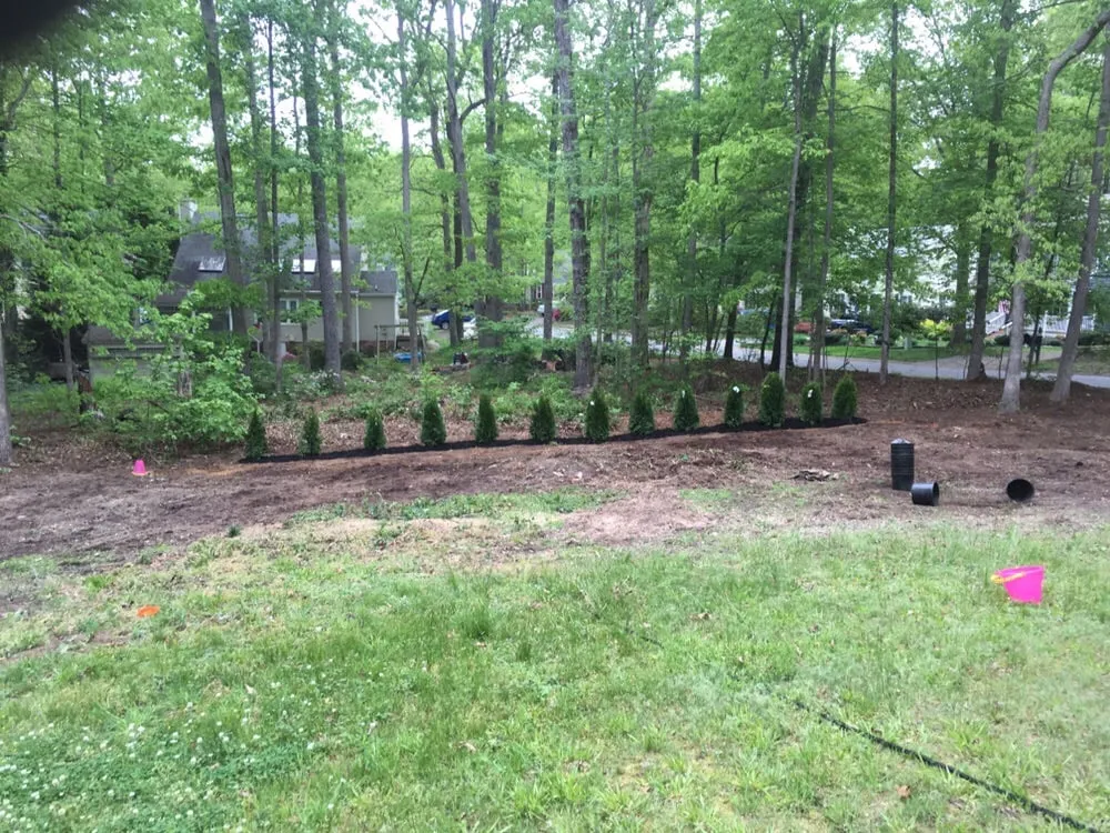 Professional residential landscaping for year-round maintenance across Richmond, VA - Lyric's Lawn & Home Care