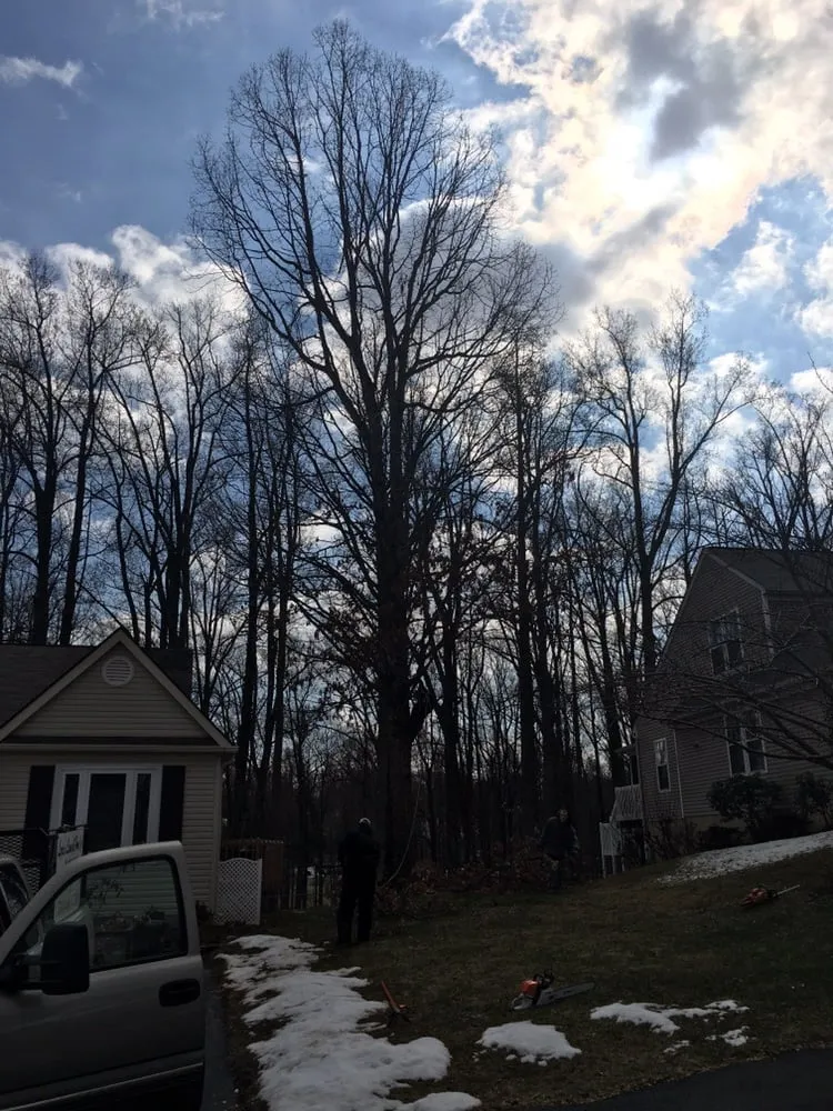 Reliable lawn mowing service experts serving Richmond, VA - Lyric's Lawn & Home Care