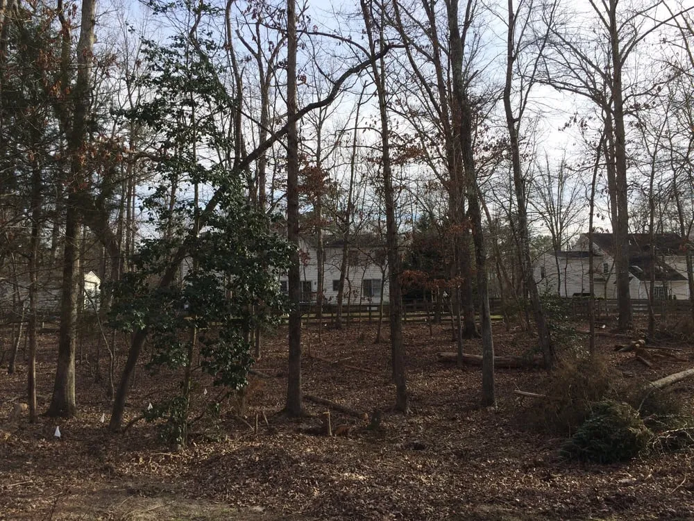 Local yard maintenance with custom design across Richmond, VA - Lyric's Lawn & Home Care