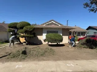 Top-rated outdoor landscaping experts serving Santa Ana, CA - LZ Landscaping