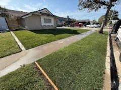 Professional yard cleanup service for homes in Santa Ana, CA by LZ Landscaping