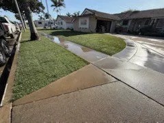 Expert yard cleanup service in Santa Ana, CA by LZ Landscaping