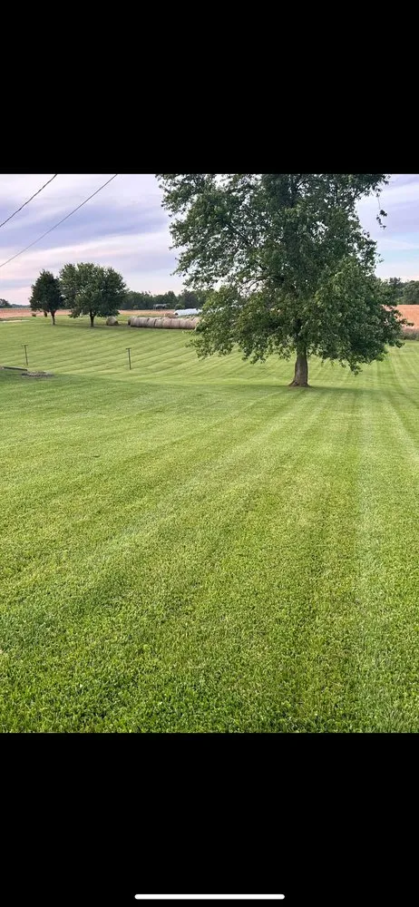 Custom yard cleanup service for outdoor upgrades in Brandenburg, KY by L&Z Mowing