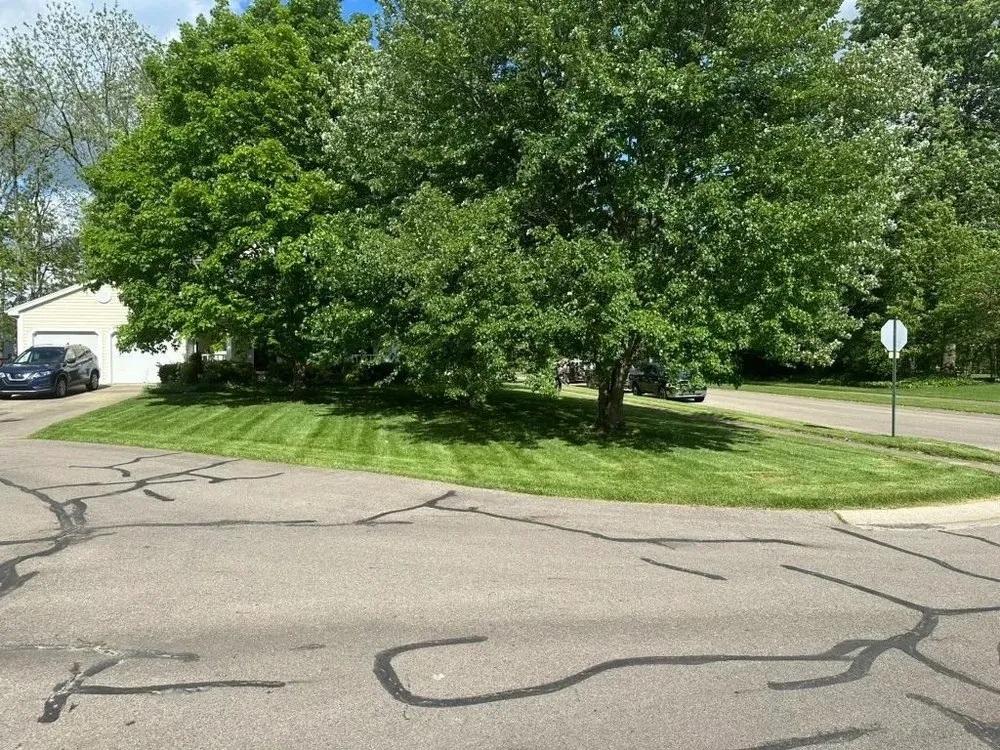 Trusted landscape installation in Dayton, OH by LZK Services