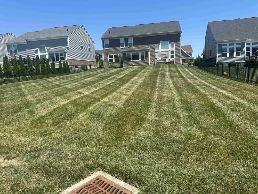 Trusted yard cleanup service in Dayton, OH by LZK Services