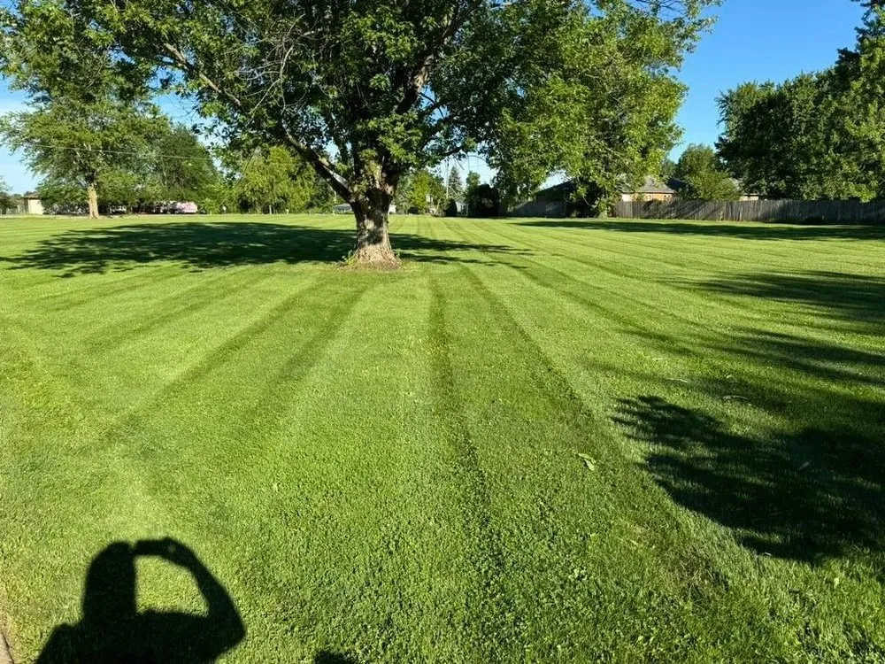 Affordable landscaping services for homes across Dayton, OH - LZK Services