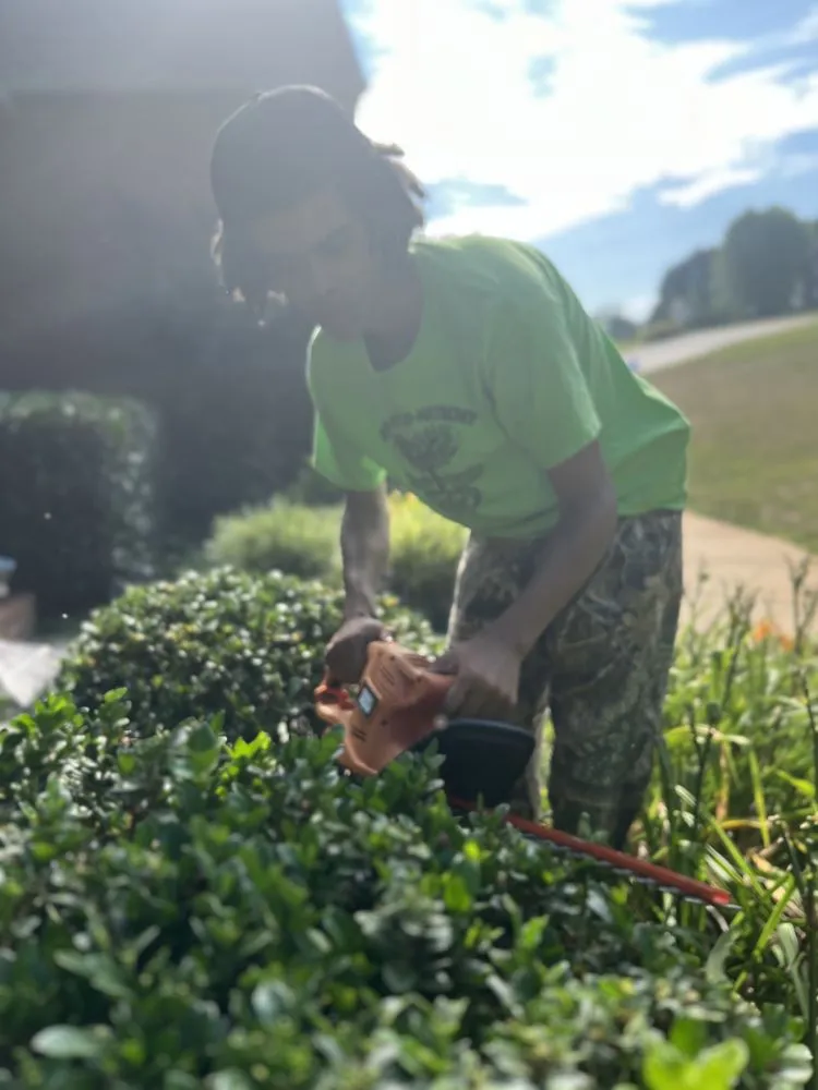 Top-rated landscape installation in Thomasville, NC - LZT Lawns