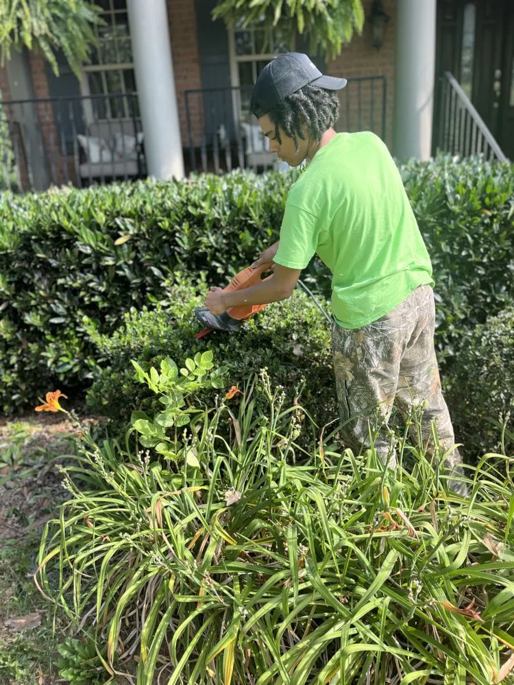 Reliable lawn care service for year-round maintenance across Thomasville, NC - LZT Lawns