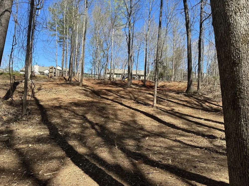 Top-rated lawn care service for residential properties in Martin, GA by M & A Land Maintenance