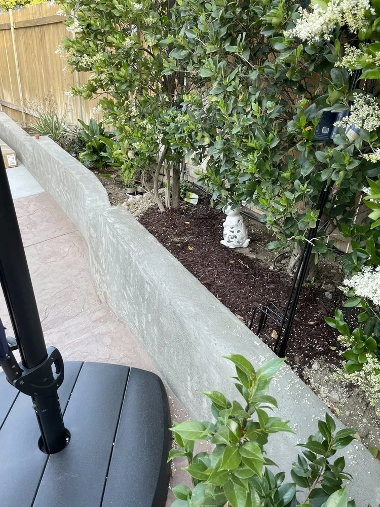 Expert lawn care service in San Fernando, CA by M & A Landscaping