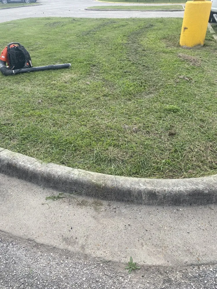 Local outdoor landscaping in Rio Hondo, TX - M & A Lawn Care And Welding