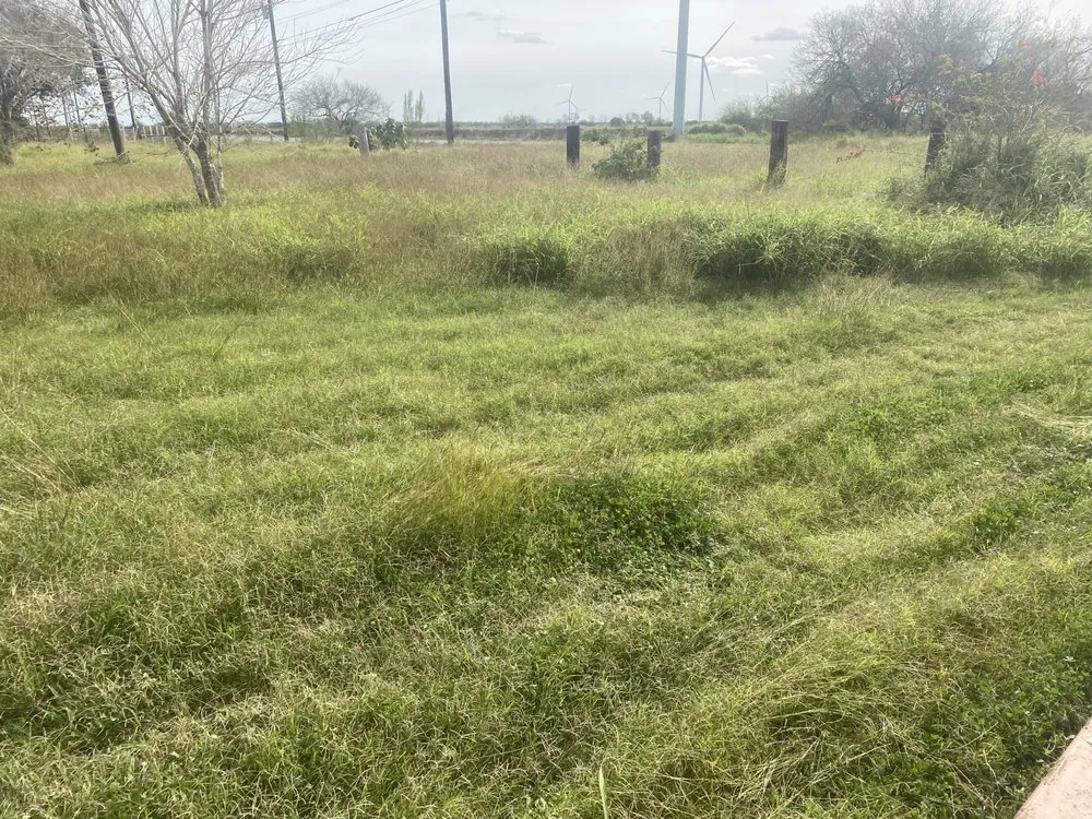 Local landscape design experts serving Rio Hondo, TX - M & A Lawn Care And Welding