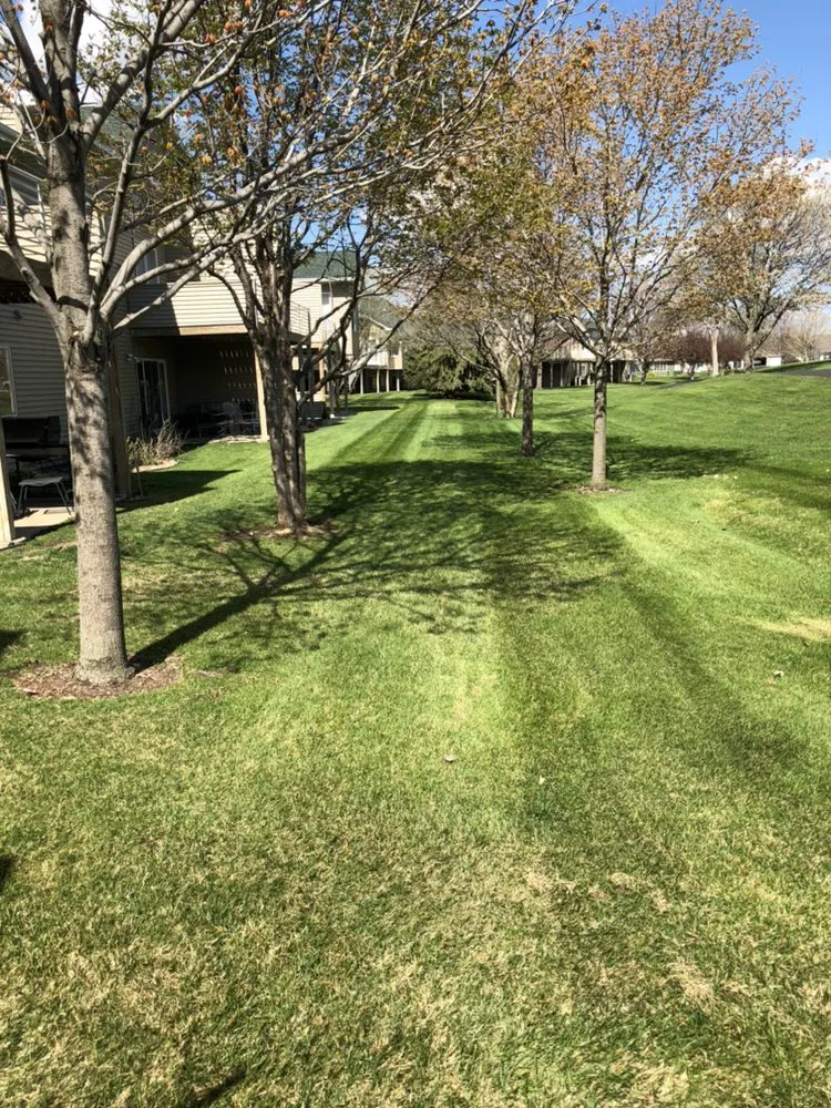 Reliable garden landscaping with custom design in Monticello, MN by M & B grass