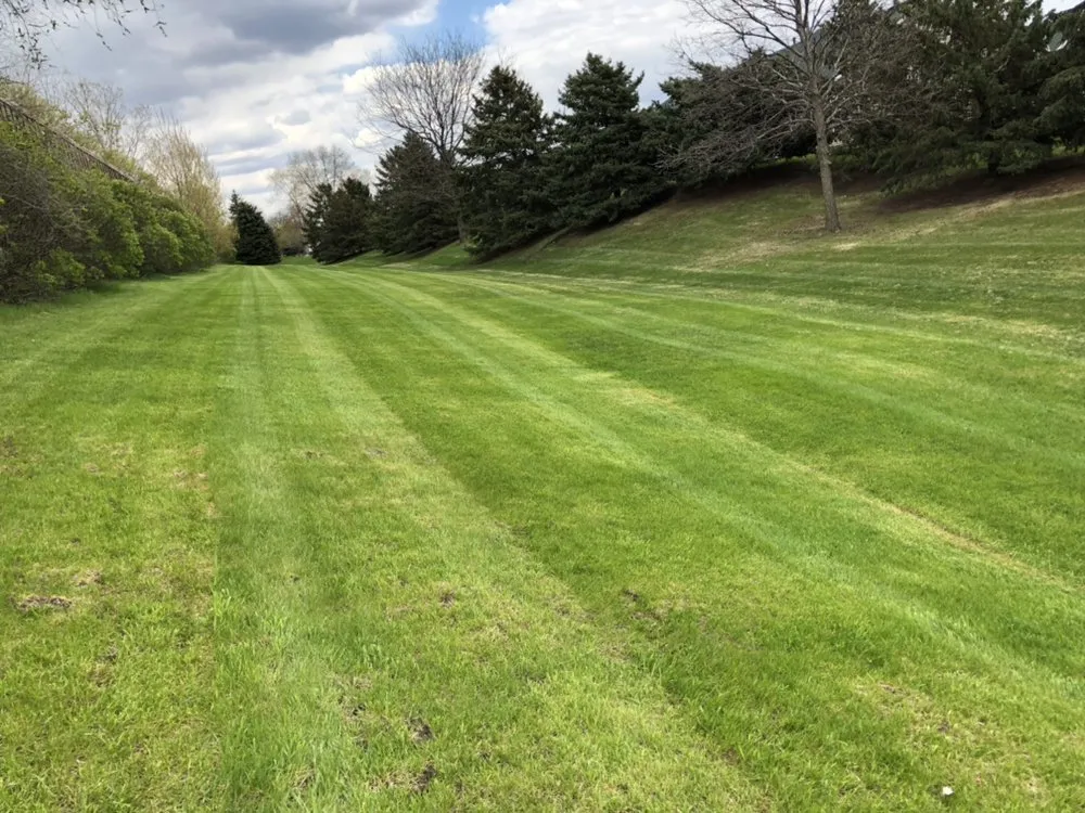 Top-rated landscaping services for outdoor upgrades across Monticello, MN - M & B grass