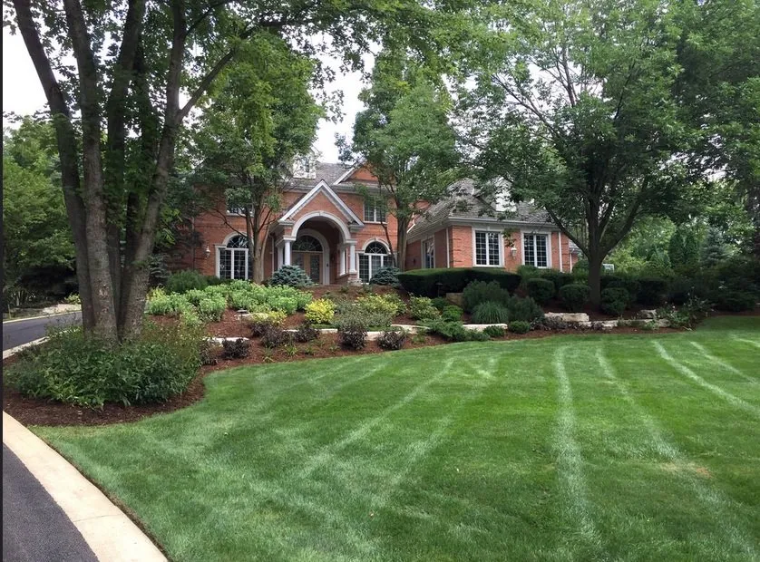 Professional landscaping services in Palatine, IL - M & B Landscaping