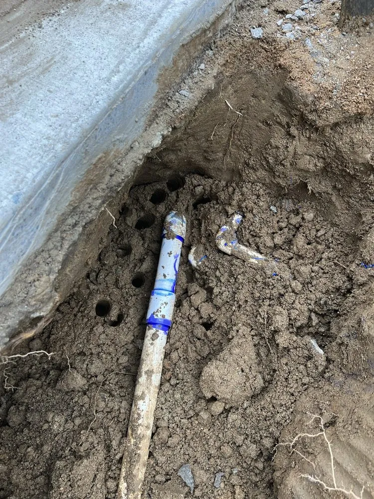 Expert landscape installation in Temecula, CA - M & B Landscaping/Sprinkler Surgeons