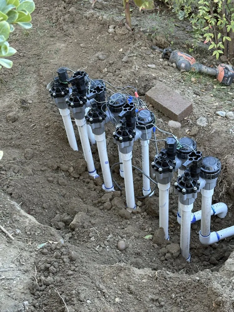 Expert lawn care service for year-round maintenance in Temecula, CA by M & B Landscaping/Sprinkler Surgeons