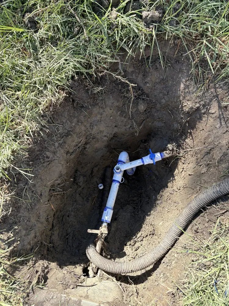 Professional yard cleanup service for residential properties across Temecula, CA - M & B Landscaping/Sprinkler Surgeons