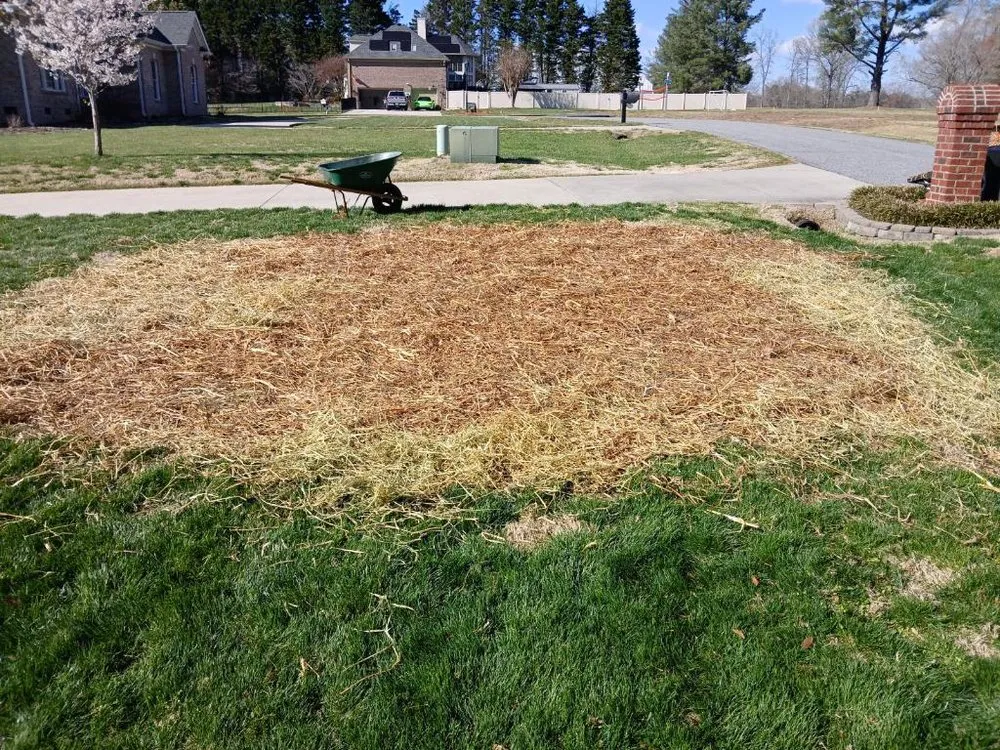 Reliable landscape design near you in Winston-Salem, NC by M & C Cruz Lawn Care