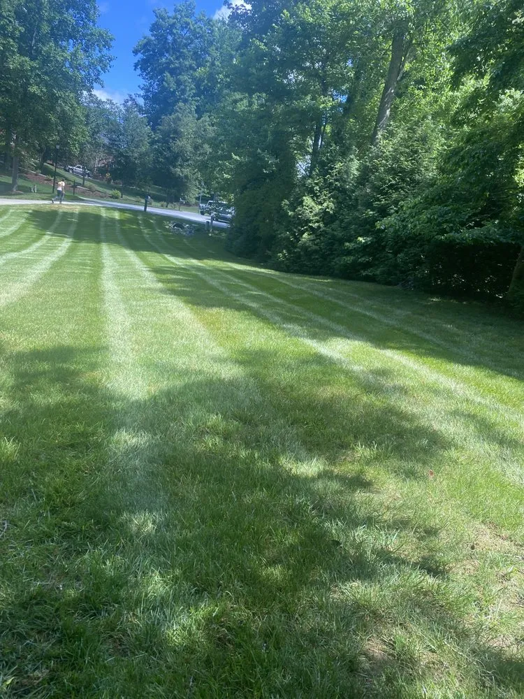 Professional residential landscaping for homes in Winston-Salem, NC by M & C Cruz Lawn Care