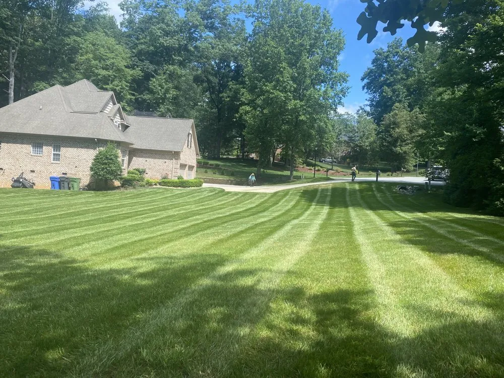 Top-rated yard cleanup service in Winston-Salem, NC - M & C Cruz Lawn Care