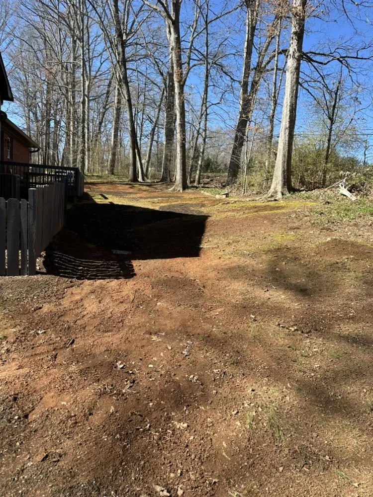 Trusted yard maintenance in Winston-Salem, NC by M & C Cruz Lawn Care