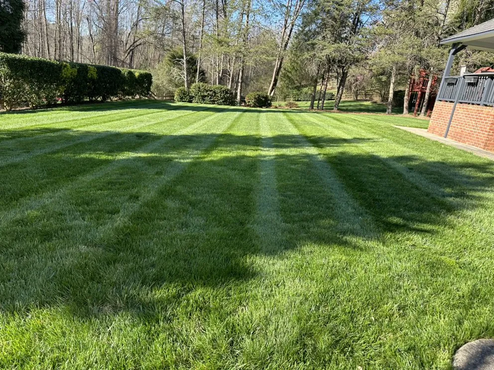 Local landscaping services experts serving Winston-Salem, NC - M & C Cruz Lawn Care