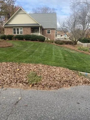 M & C Cruz Lawn Care Logo