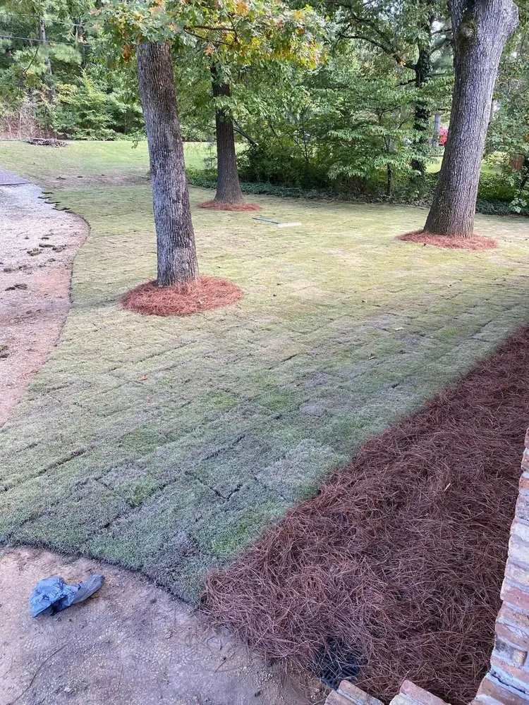 Top-rated lawn care service experts serving Decatur, AL - M & C