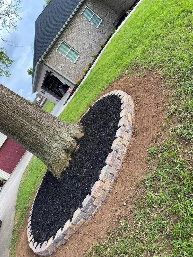 Expert yard cleanup service for residential properties across Decatur, AL - M & C