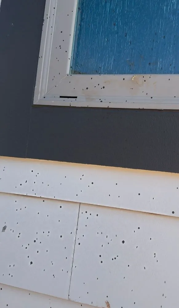 Local yard cleanup service for beautiful yards across Decatur, AL - M & C