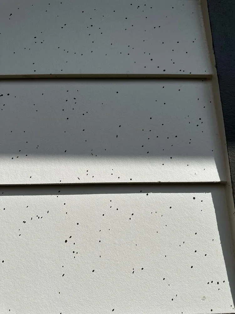 Professional outdoor landscaping with custom design in Decatur, AL by M & C