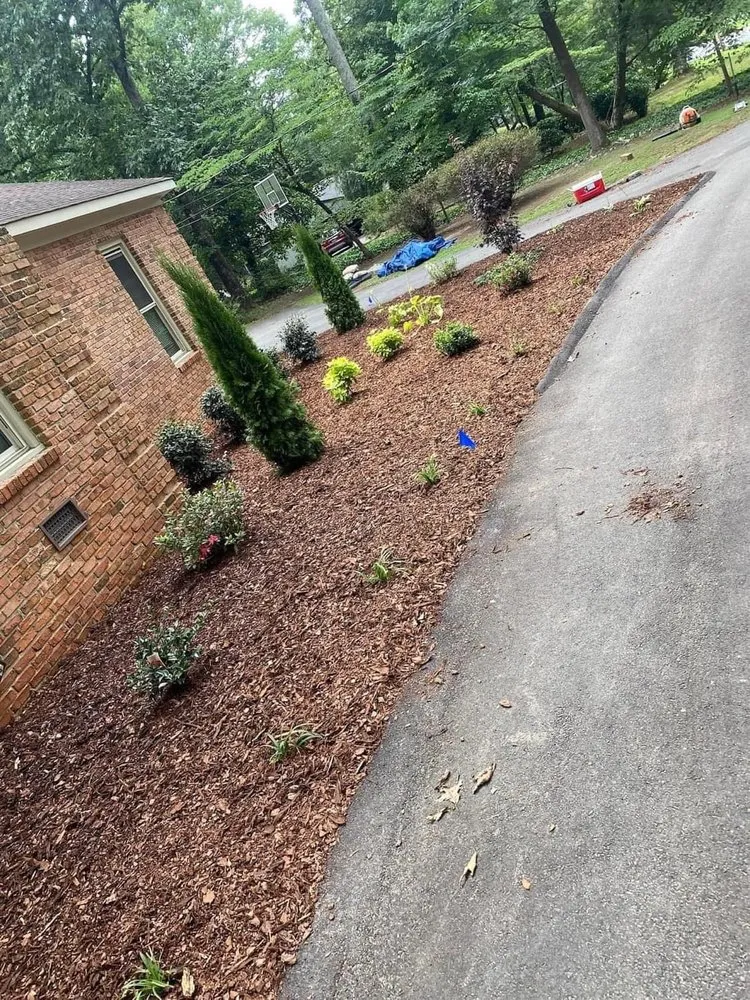Affordable yard maintenance in Decatur, AL by M & C
