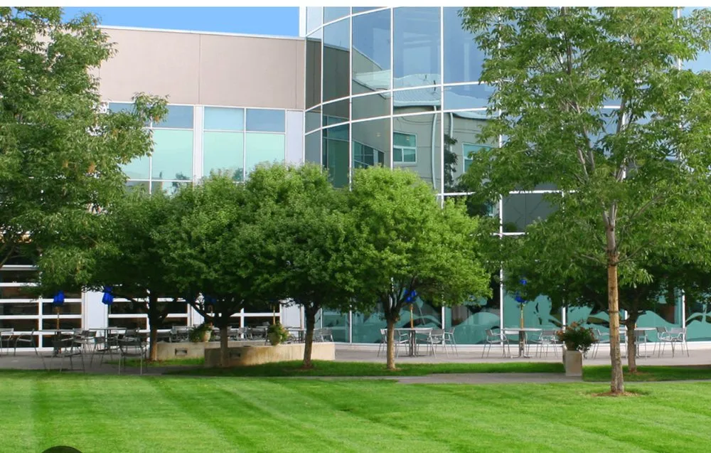 Professional yard maintenance experts serving Georgetown, SC - M & C General Construction