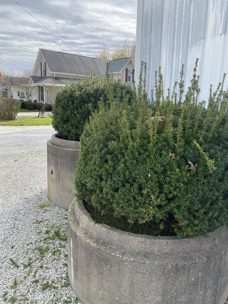 Expert landscape installation for outdoor upgrades across Pendleton, IN - M & C Lawn Care