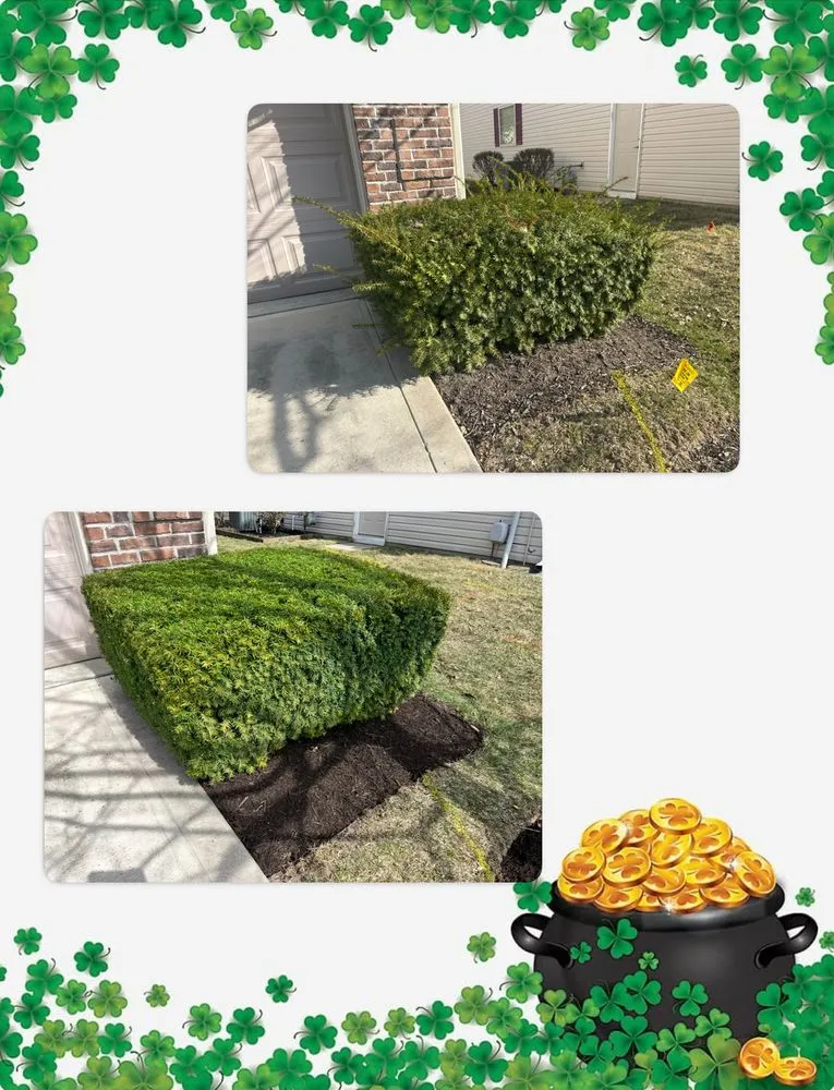 Expert outdoor landscaping for beautiful yards in Pendleton, IN by M & C Lawn Care