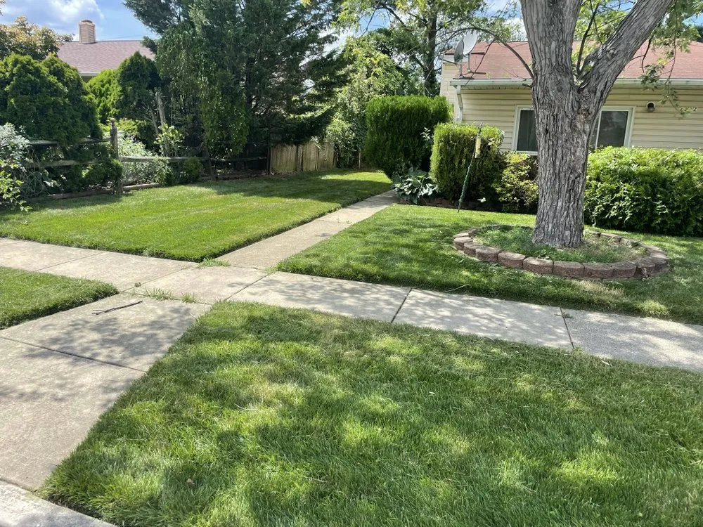 Professional residential landscaping for year-round maintenance across Baltimore, MD - M & C Thompson Services