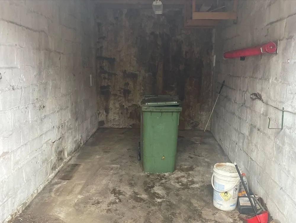 Professional yard cleanup service for year-round maintenance in Baltimore, MD by M & C Thompson Services