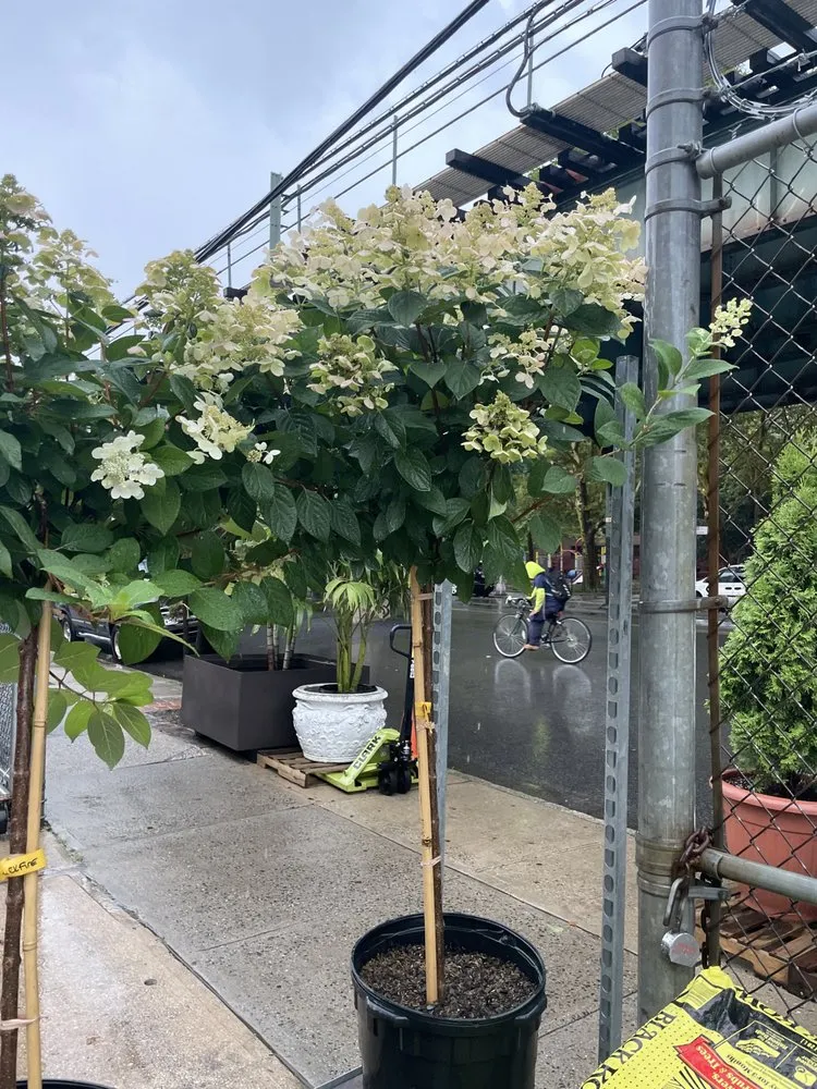 Trusted lawn care service in Brooklyn, NY by M & D Nursery & Equipment