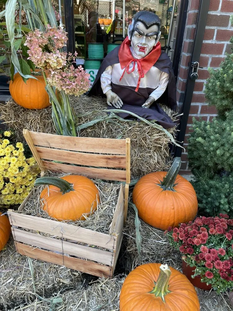 Affordable landscaping services experts serving Brooklyn, NY - M & D Nursery & Equipment