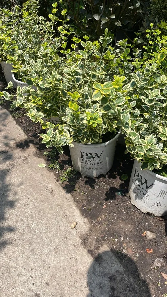 Top-rated garden landscaping experts serving Brooklyn, NY - M & D Nursery & Equipment