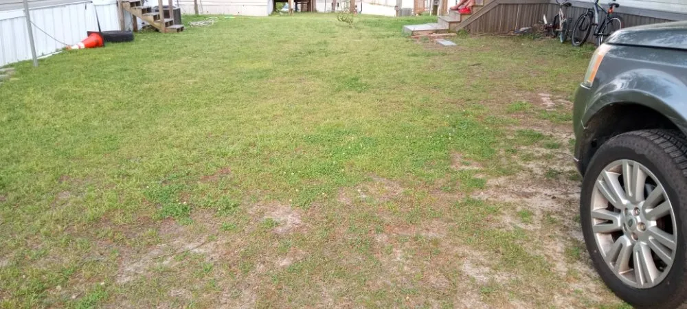 Custom landscape design in Auburn, AL - M & E Pressure Washing and Lawn Care Services